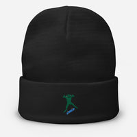 Skater Frog Beanie